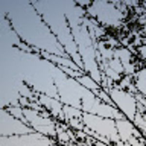 Meet your Posher, Alaina